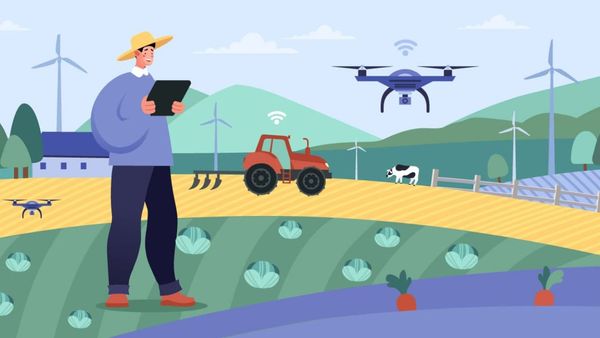 Exploring Blockchain Use Cases in Agriculture