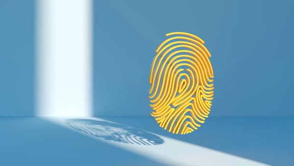 Blockchain and Digital Identity Verification